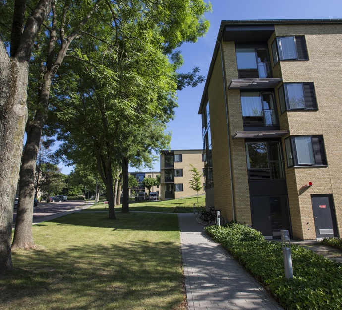 Plejecenter Baunehøj set fra Bauneporten